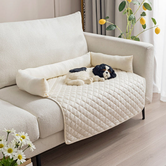 The Ultimate Guide to Protecting Your Sofa from Pet Stains, Accidents, and Scratches