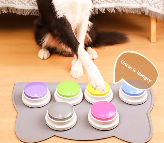 How to Teach Your Dog to "Talk": A Step-by-Step Guide to Button Training