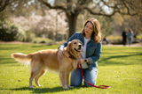 5 Essential Tips to Prevent Your Pet from Getting Lost