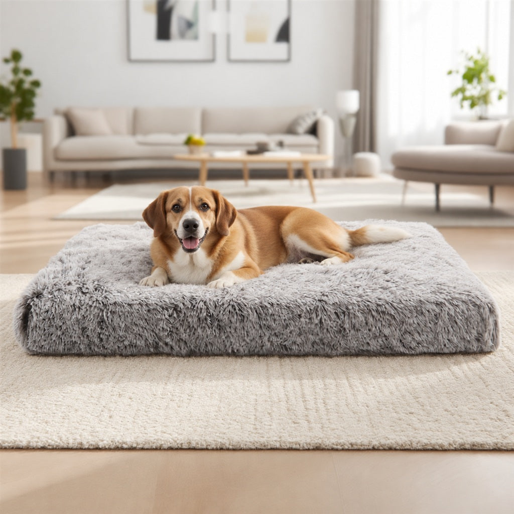 A relaxed dog resting on the Ultra-Soft Plush Pet Cushion Mattress in a bright living room