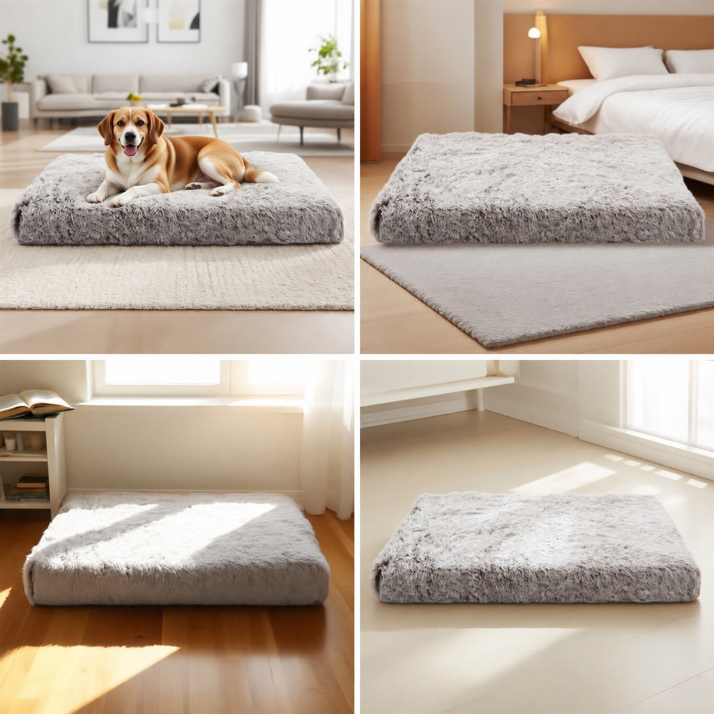 The cushion used in four bright indoor home settings