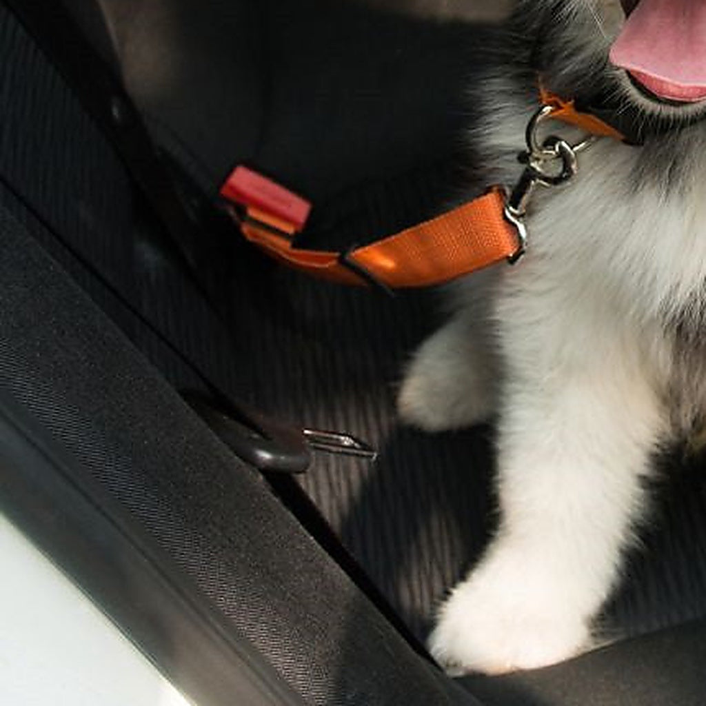 Adjustable Reflective Elastic Dog Seat Belt — material detail