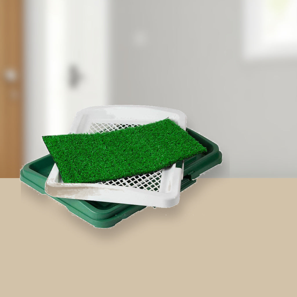 Indoor Dog Grass Potty Trainer with Waste Tray & Grid — lifestyle view